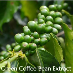 British Ayurveda Green Coffee Extract