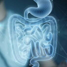 Gastrointestinal Health