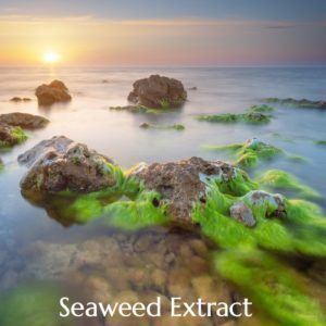 British Ayurveda Seaweed Extract