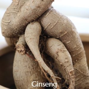 Ginseng by British Ayurveda