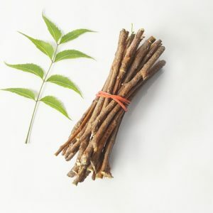 Auyurveda and Traditional Medicine